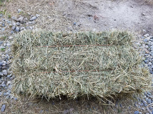 Organic 1st Cut Small Square Bale